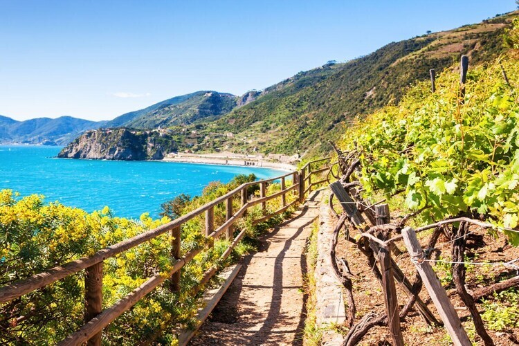 Casa Liguria : maison 3 chambres à 5 min de plage - Photo 21