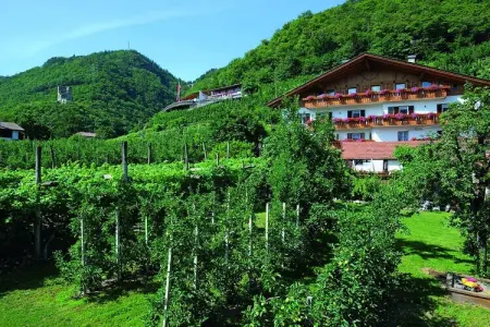 Schrenteweinhof, maison entre vignes et vergers à Lana : photo 2