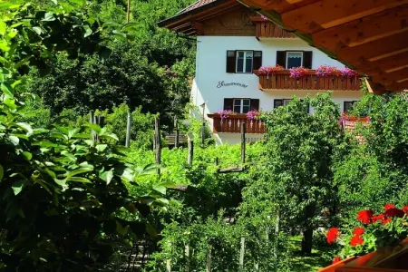 Schrenteweinhof, maison entre vignes et vergers à Lana : photo 3