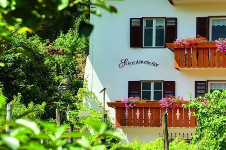 Schrenteweinhof, maison entre vignes et vergers à Lana : photo 5