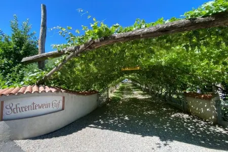 Schrenteweinhof, maison entre vignes et vergers à Lana : photo 6