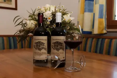 Schrenteweinhof, maison entre vignes et vergers à Lana : photo 10