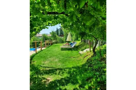 Schrenteweinhof, maison entre vignes et vergers à Lana : photo 15