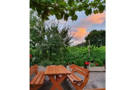 Schrenteweinhof, maison entre vignes et vergers à Lana : photo 16