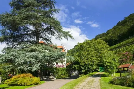 Appartement Johannes Raut à Merano, vue montagnes : photo 17