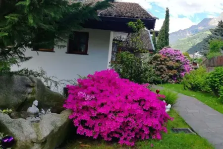 Maison 4 pers. à Dorf Tirol, balcon plein sud : photo 16