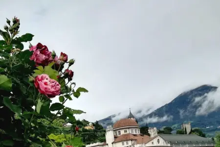 Maison 4 pers. à Dorf Tirol, balcon plein sud : photo 20