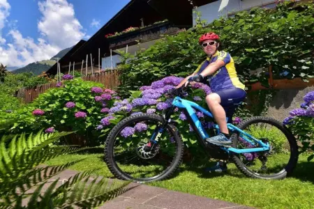 Maison 4 pers. à Dorf Tirol, balcon plein sud : photo 31