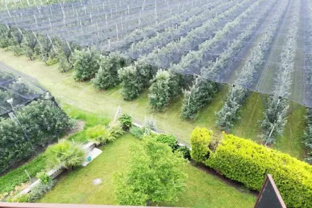 Appartement vue château du Tyrol à Algund : photo 10