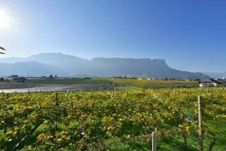 Maison de vacances Girlan avec vue sur les vignes : photo 2