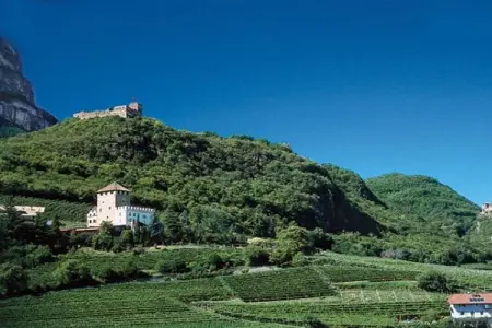 Maison de vacances Girlan avec vue sur les vignes : photo 16