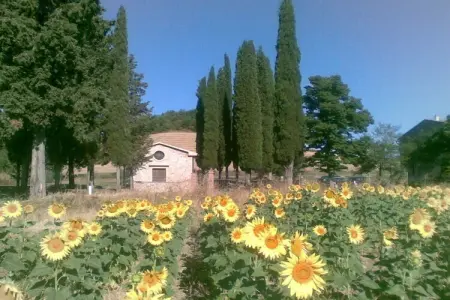 Gîte avec lac privé et piscine en Toscane : photo 15