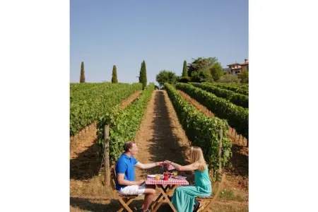 Vigna Bassa, maison dans les vignes biologiques de Crespina : photo 8