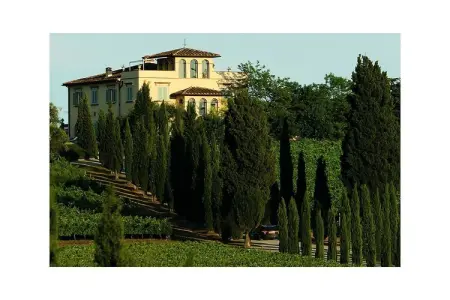 Vigna Bassa, maison dans les vignes biologiques de Crespina : photo 27