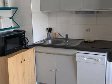 Studio 19 m² aux pieds des pistes - Orcières Merlette : photo 4