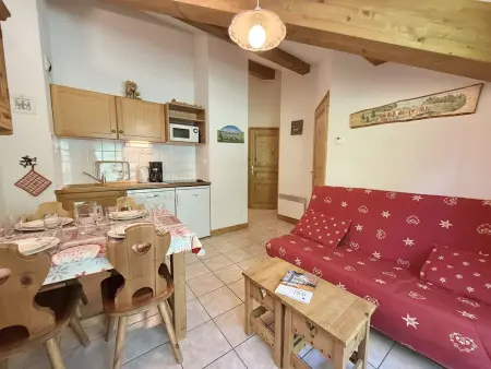 Appartement 28m² avec parking et balcon à Praz-sur-Arly : photo 2