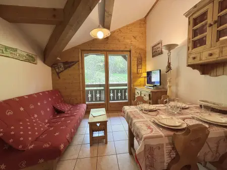Appartement 28m² avec parking et balcon à Praz-sur-Arly : photo 6