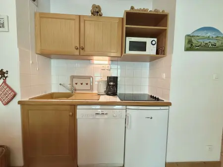 Appartement 28m² avec parking et balcon à Praz-sur-Arly : photo 9