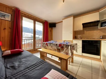 Studio cabine 4 pers. à Praz-sur-Arly, vue pistes : photo 3