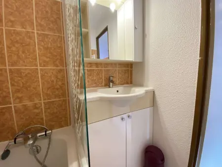 Studio cabine 4 pers. à Praz-sur-Arly, vue pistes : photo 9