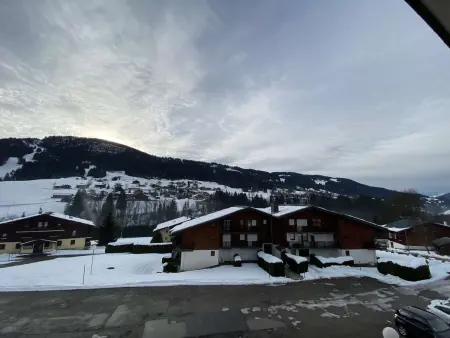 Studio cabine 4 pers. à Praz-sur-Arly, vue pistes : photo 12