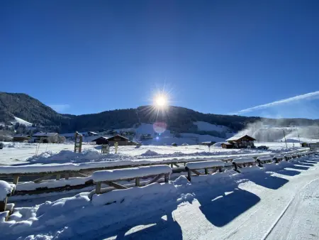 Studio cabine 4 pers. à Praz-sur-Arly, vue pistes : photo 15