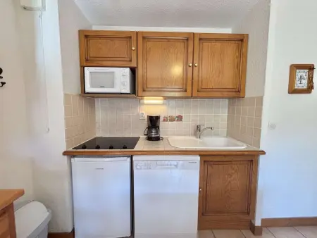 Appartement 5 pers. Praz-sur-Arly, ski à 450 m : photo 10
