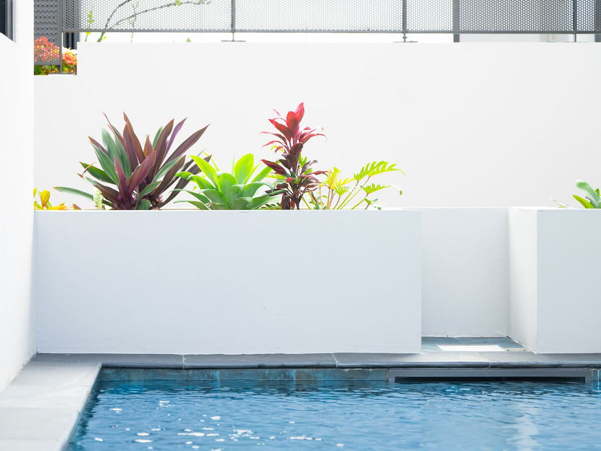 Gîte indépendant avec piscine chauffée à Saint-Pierre - Photo 10