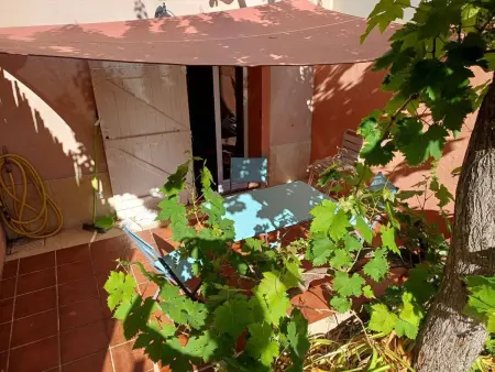 Appartement rénové avec jardin privatif à Porquerolles : photo 4
