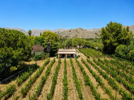 Can Bregat, gîte rural 2 pers. à Pollença, vue montagne : photo 4