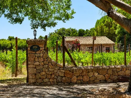Can Bregat, gîte rural 2 pers. à Pollença, vue montagne : photo 18