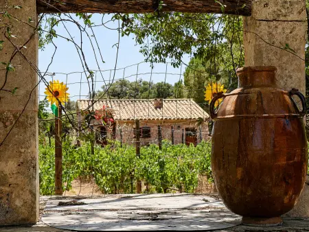 Can Bregat, gîte rural 2 pers. à Pollença, vue montagne : photo 19