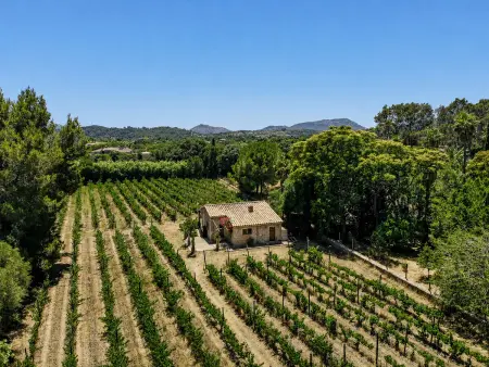 Can Bregat, gîte rural 2 pers. à Pollença, vue montagne : photo 22