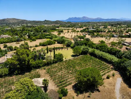 Can Bregat, gîte rural 2 pers. à Pollença, vue montagne : photo 23