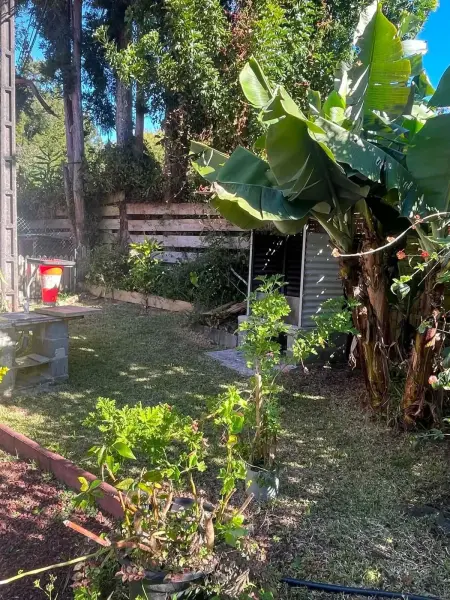 Maison cosy avec cour privée et clôturée à La Plaine-des-Palmistes : photo 15