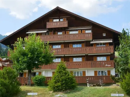 Location appartement à Gstaad, Monique Nr. 14 Appartement/Fewo, Dusche oder Bad, WC 5-Bettwohnung