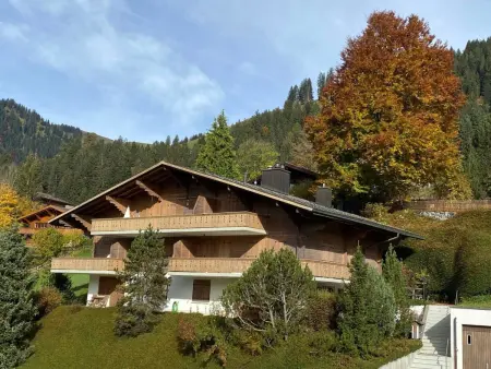 Location appartement à Gstaad, Malgré-tout Appartement/Fewo, Dusche oder Bad, WC, 1 Schlafraum 2-Bettwohnung