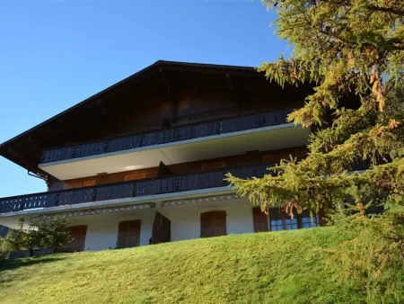 Location appartement à Gstaad, Hornflue (Wohlwender) Appartement/Fewo, Dusche oder Bad, WC 2-Bettwohnung