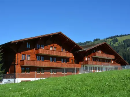 Location appartement à Gstaad, Anne (Tiefparterre) Appartement/Fewo, Dusche oder Bad, WC 6-Bettwohnung
