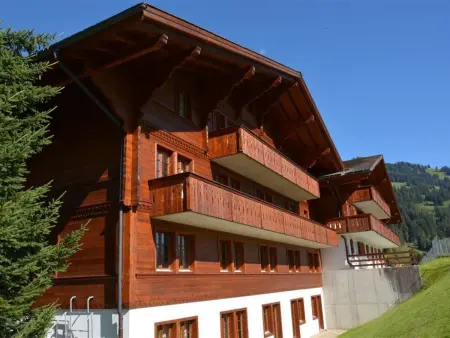 Location appartement à Gstaad, Henry (Hochparterre) Appartement/Fewo, Dusche oder Bad, WC 12-Bettwohnung