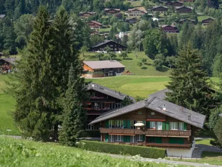 Location appartement à Gstaad, Les Silenes Appartement/Fewo, Dusche oder Bad, WC 6-Bettwohnung