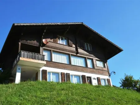 Location appartement à Gstaad, Kitty (Parterre) Appartement/Fewo, Dusche oder Bad, WC 4-Bettwohnung