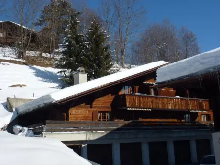 Location appartement à Gstaad, Chez-Nous Appartement/Fewo, Dusche oder Bad, WC 6-Bettwohnung