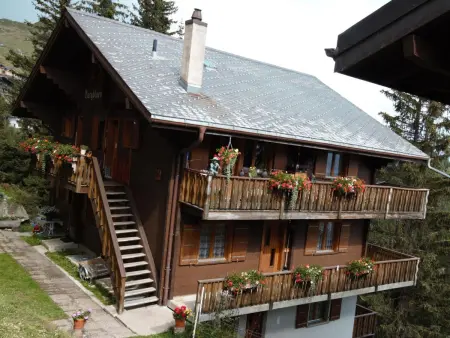 Location appartement à Bettmeralp, Bärgblüemli 2. OG Ost Studio, Dusche oder Bad, WC 1 1/2 Zimmerwohnung, 2-Betten