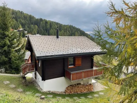 Location appartement à Bettmeralp, Brunnquell Appartement/Fewo, Dusche oder Bad, WC 4 1/2 Zimmerwohnung, 6-Betten