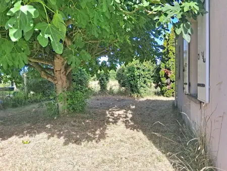 Arceau 3 - Maison 6 personnes, jardin clos à Oléron : photo 3