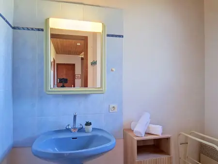 Arceau 3 - Maison 6 personnes, jardin clos à Oléron : photo 27