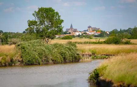 Maison 8 personnes au cœur des marais de Sallertaine : photo 16