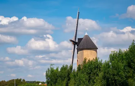 Maison 8 personnes au cœur des marais de Sallertaine : photo 18