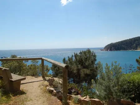 Studio face mer avec terrasse privée à Tossa de Mar : photo 18
